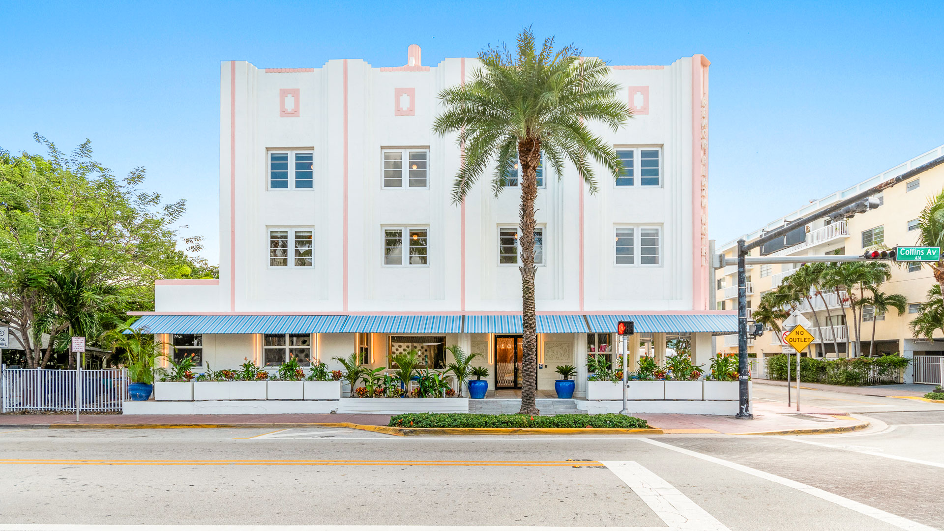 a white building with a palm tree