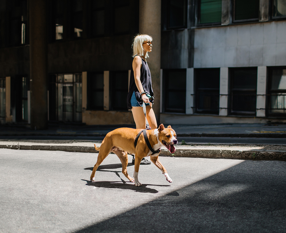 a woman walking a dog on a street