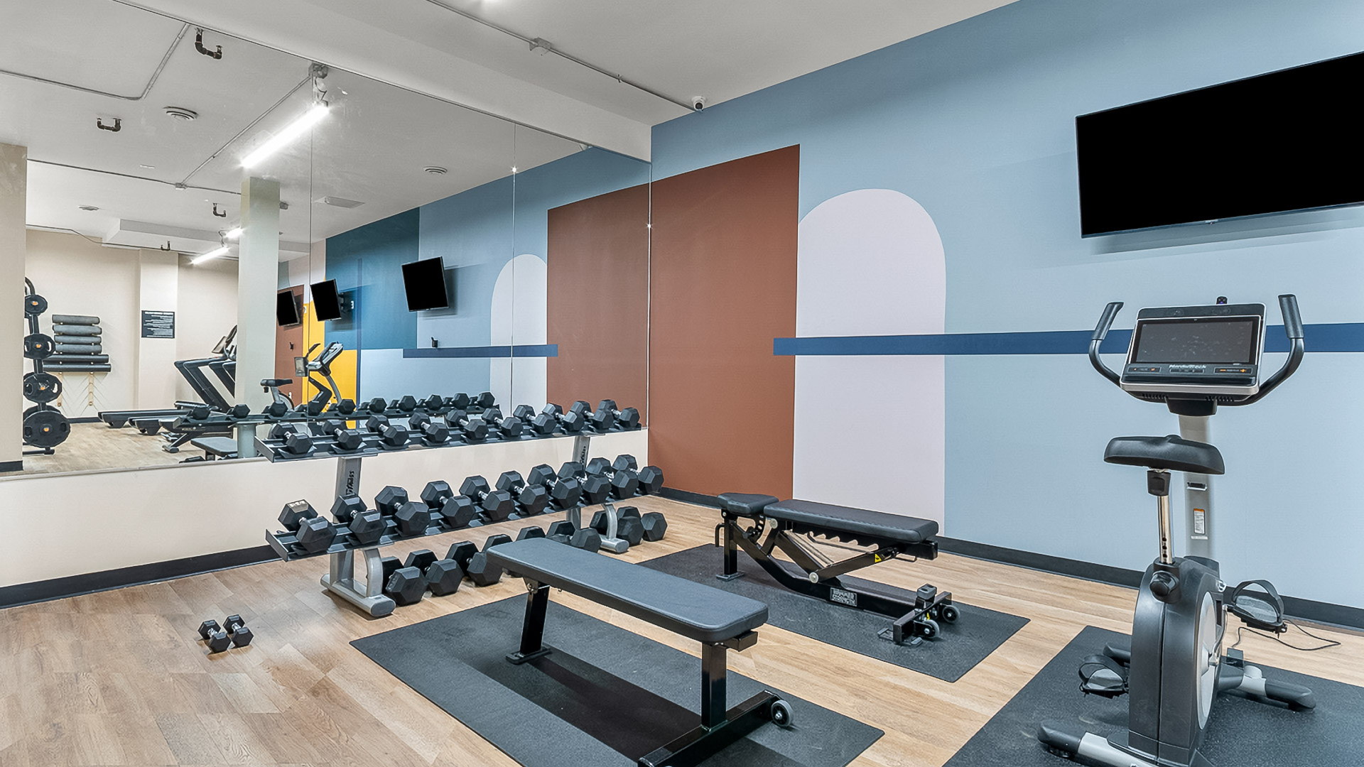 a gym with weights and a bench