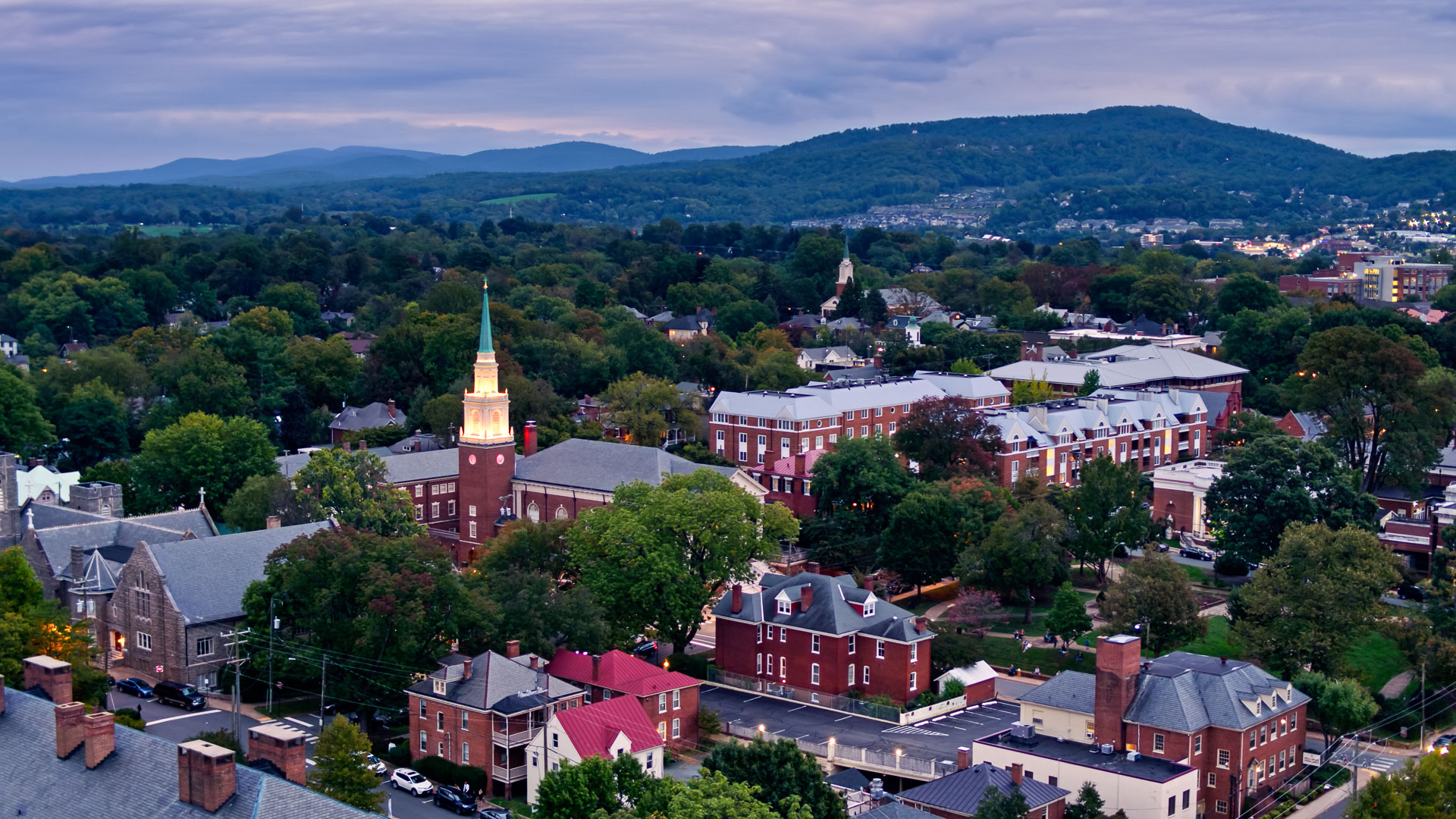 a city with trees and buildings