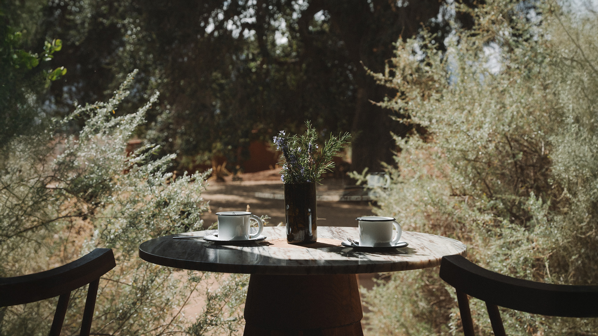 a table with two cups on it