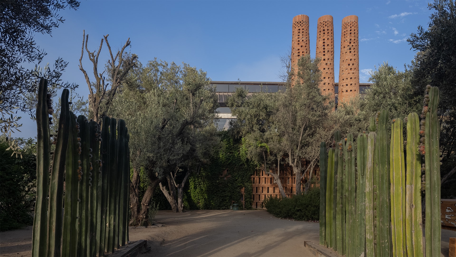 a path with a fence and trees