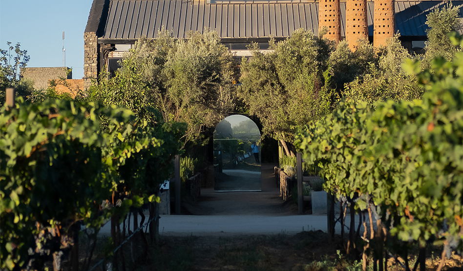 a path leading to a building