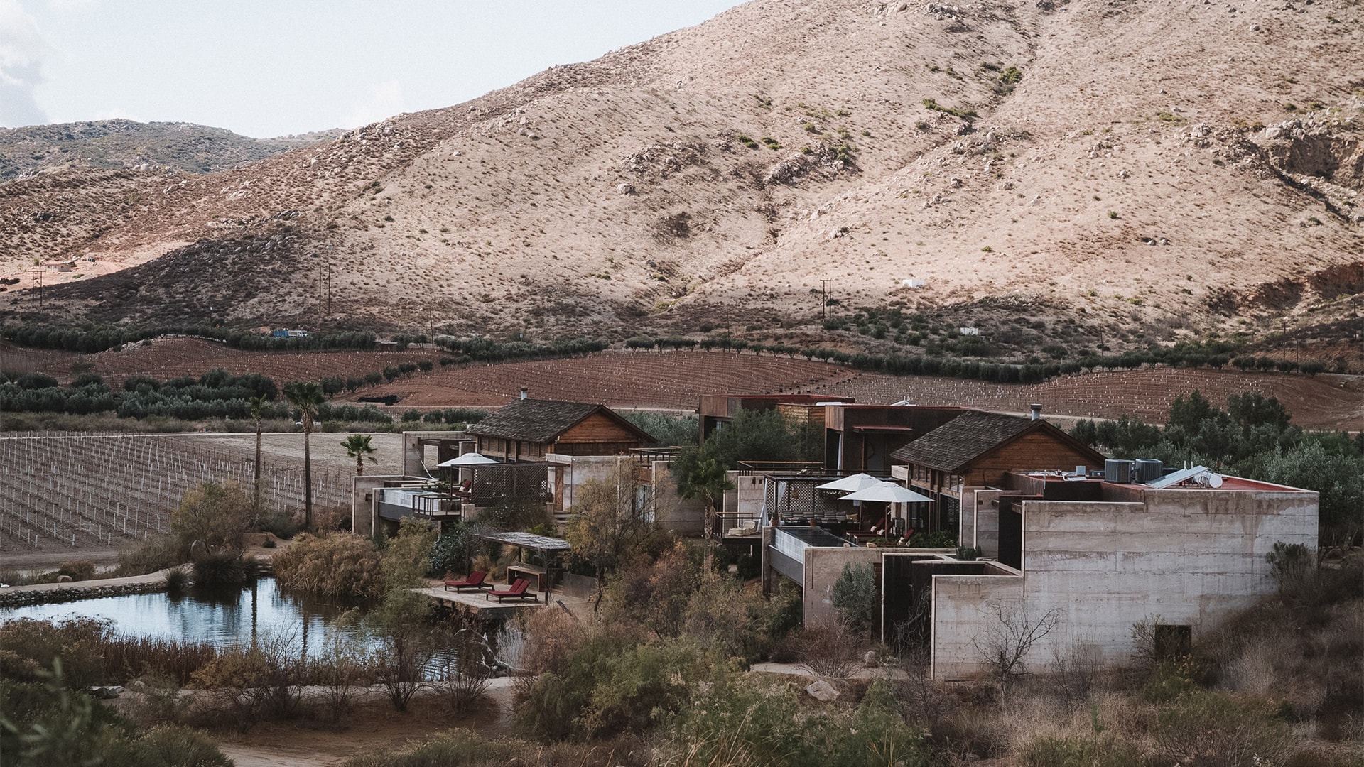a group of houses by a body of water