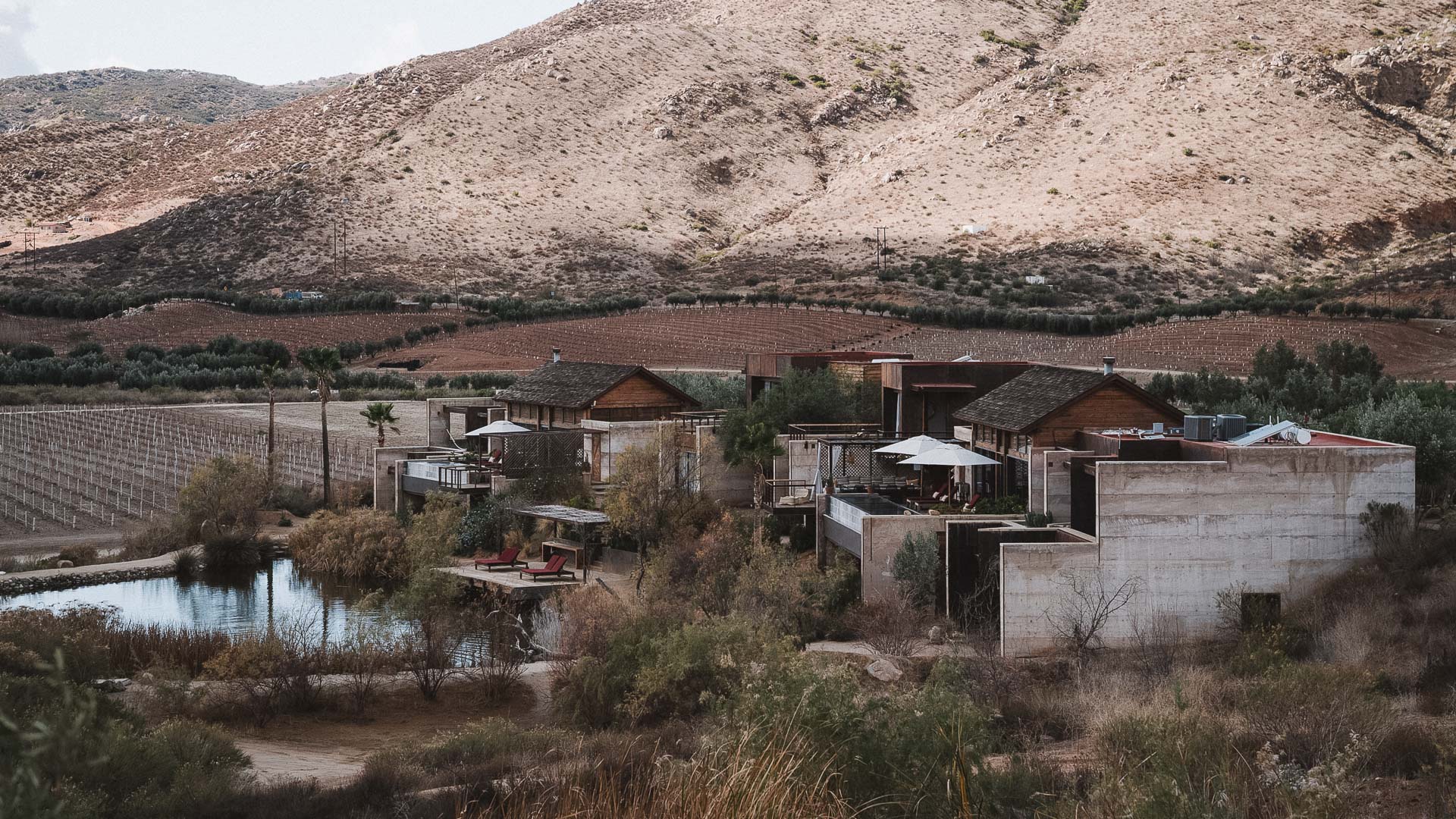a group of houses next to a body of water
