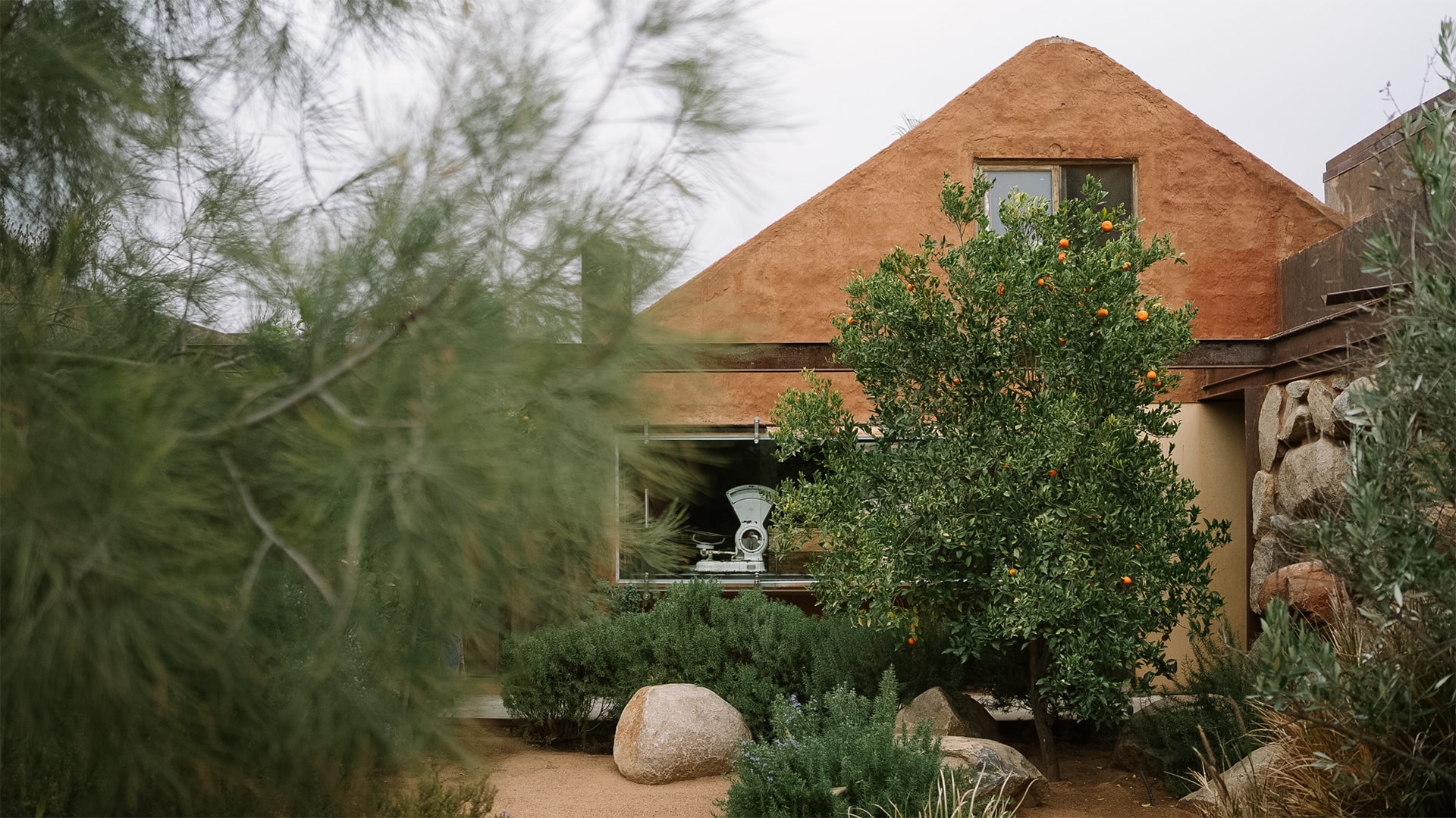 a house with trees and bushes