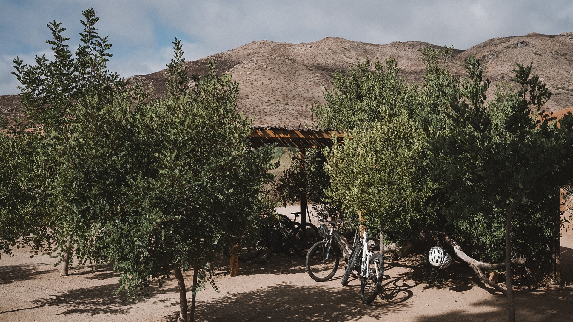 bicycles bikes parked in a dirt area with trees and a mountain in the background