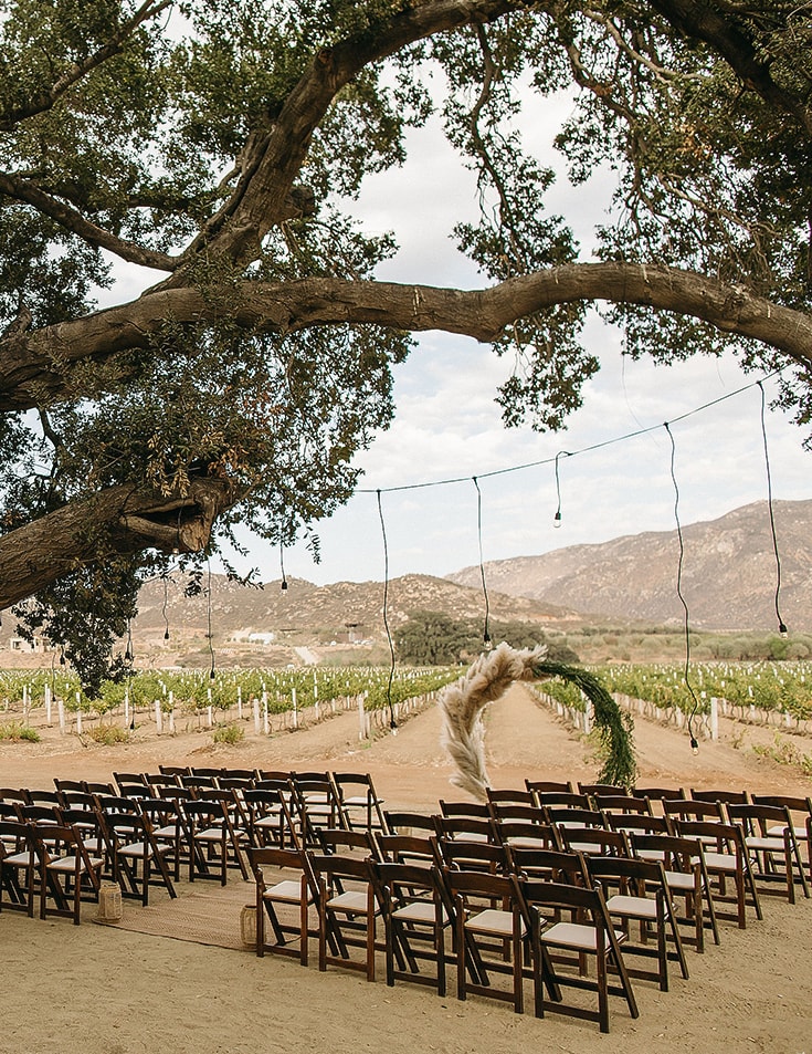 chairs under a tree with chairs