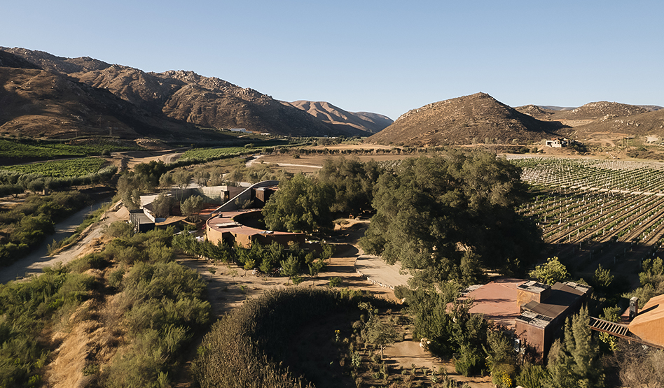 a landscape with trees and mountains