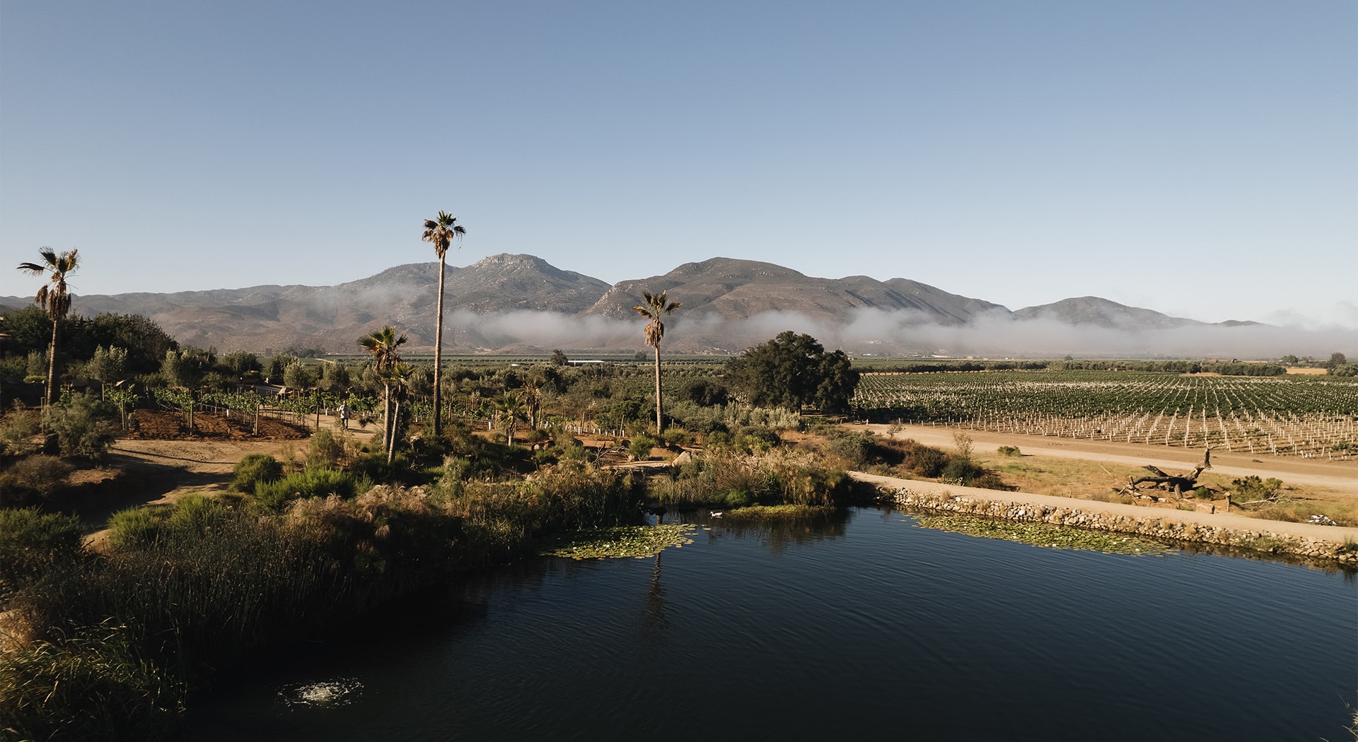 a body of water with palm trees and mountains in the background