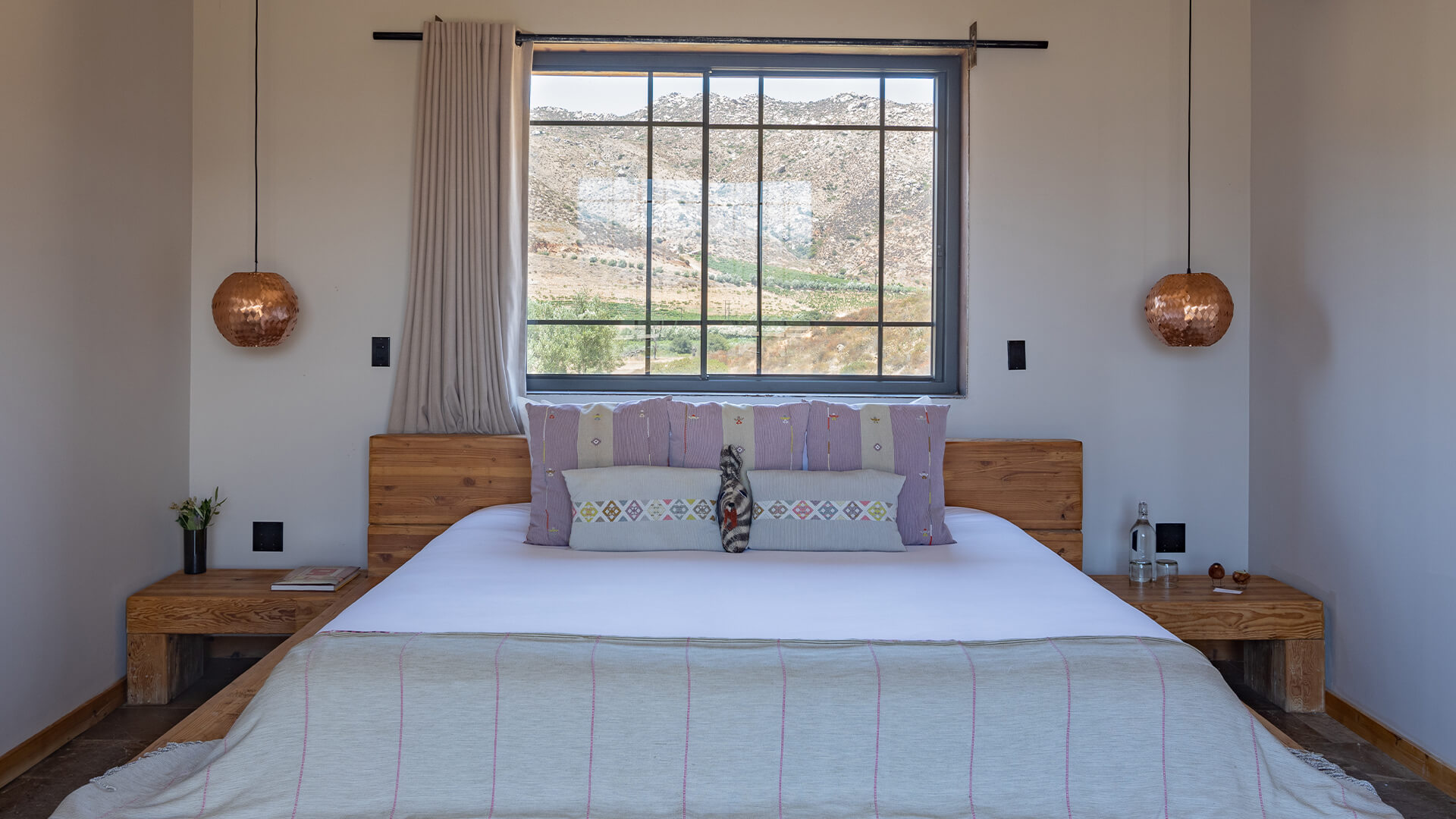 a cat sitting on a bed