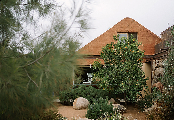 a house with trees and bushes