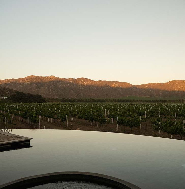a pool with a view of a vineyard and mountains in the background