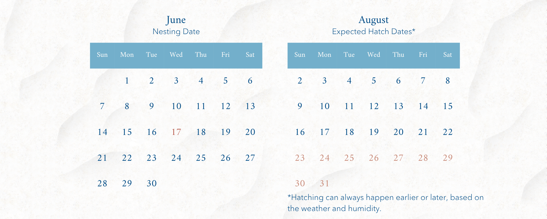 a calendar with blue squares and red and blue text
