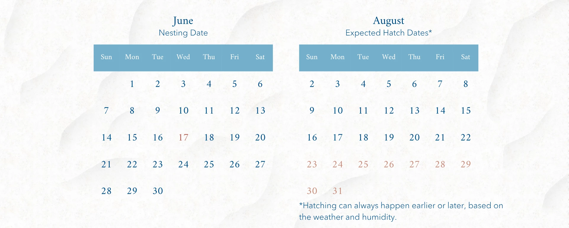 a calendar with blue squares and red and blue text