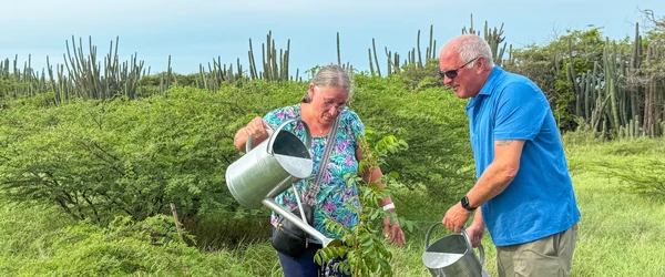 a man and woman watering plants