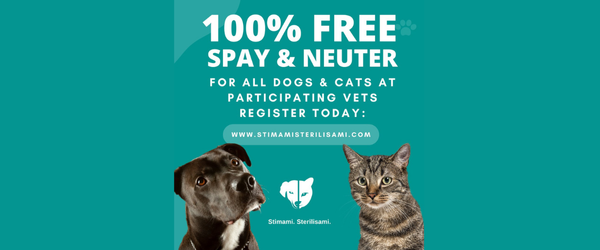 a cat and dog with text on a blue background