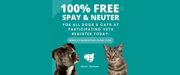 a cat and dog with text on a blue background