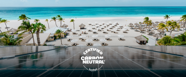 a beach with umbrellas and palm trees