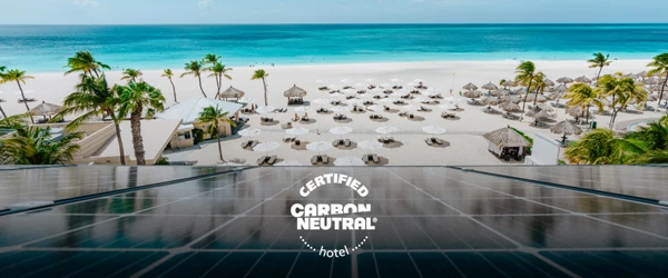 a beach with umbrellas and palm trees