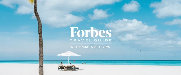 a group of people sitting on chairs on a beach