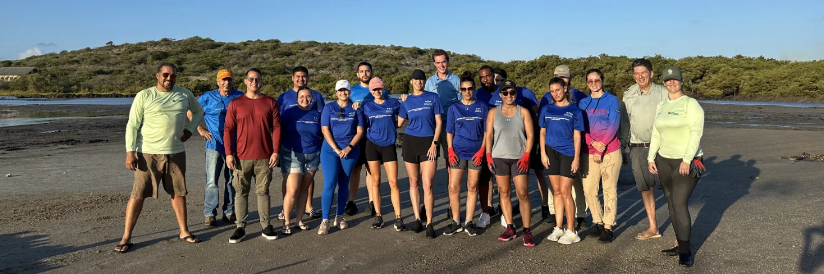 mangrove restoration volunteers in Aruba