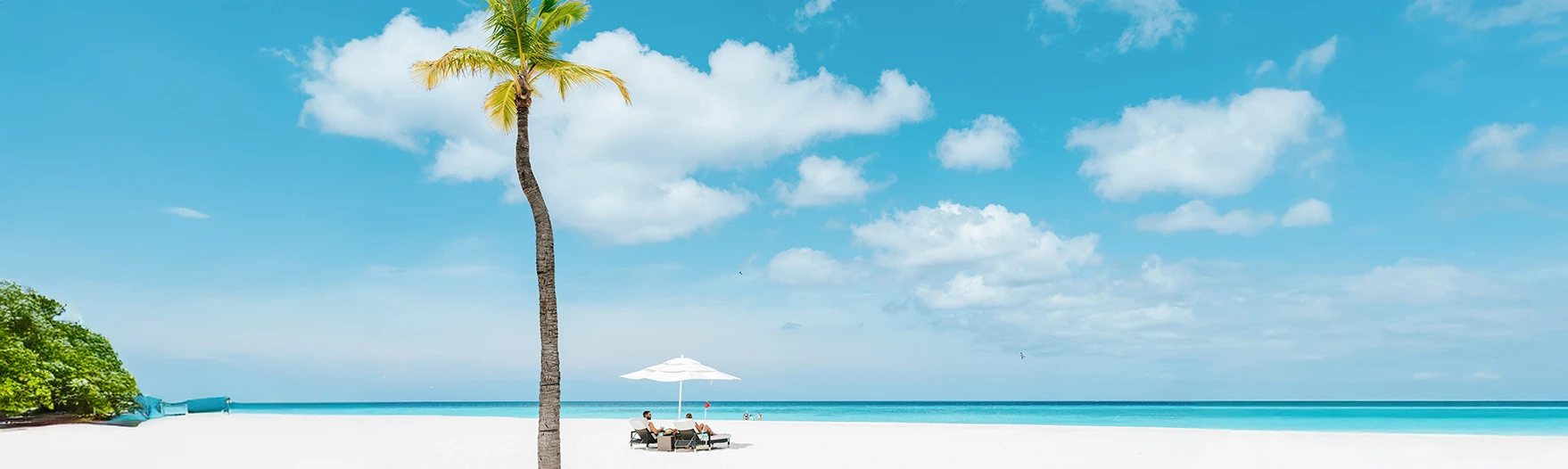 people sitting on a beach with a palm tree and a couple of people under an umbrella