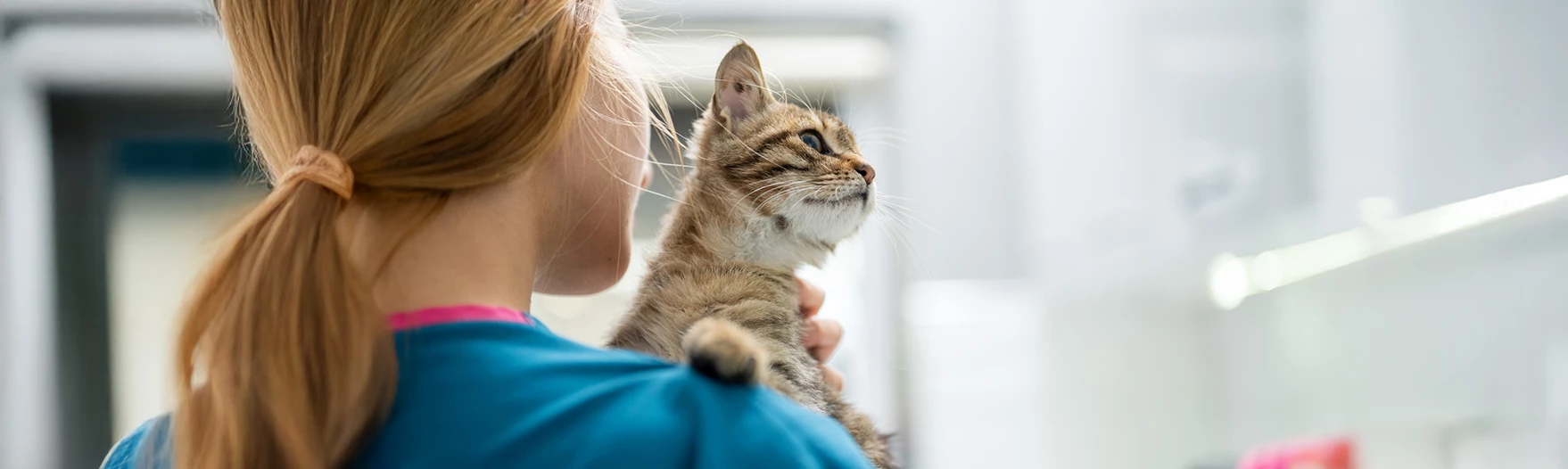 a woman holding a cat