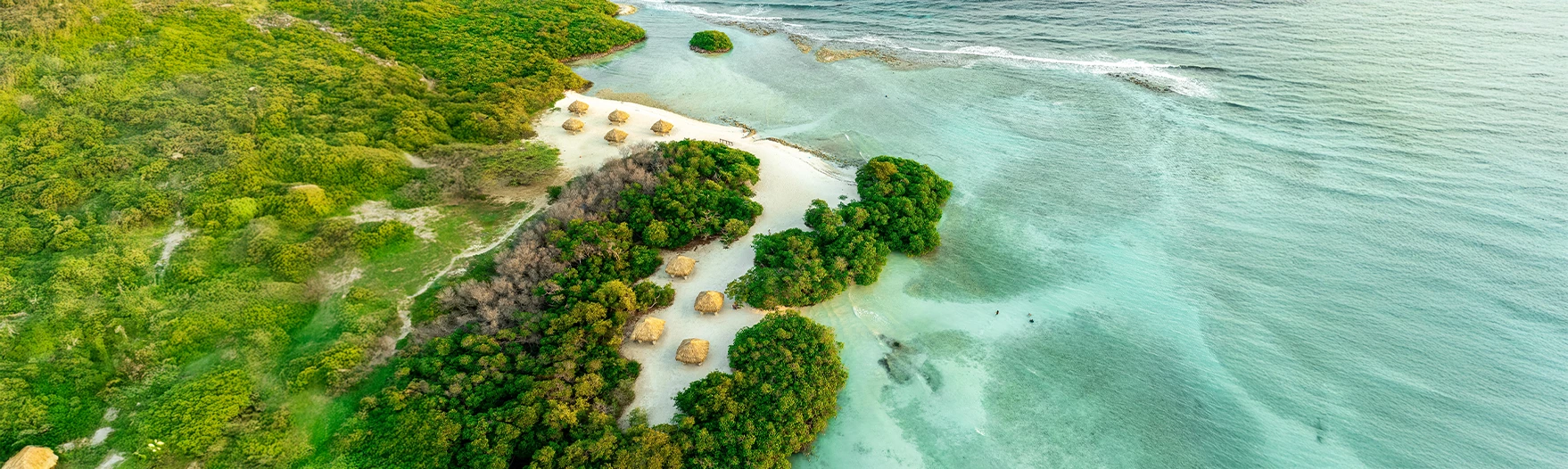 a beach with huts and trees