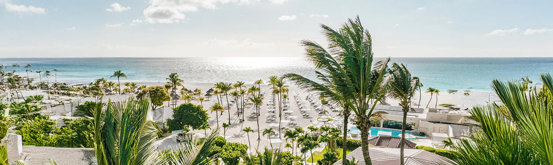 a beach with palm trees and chairs