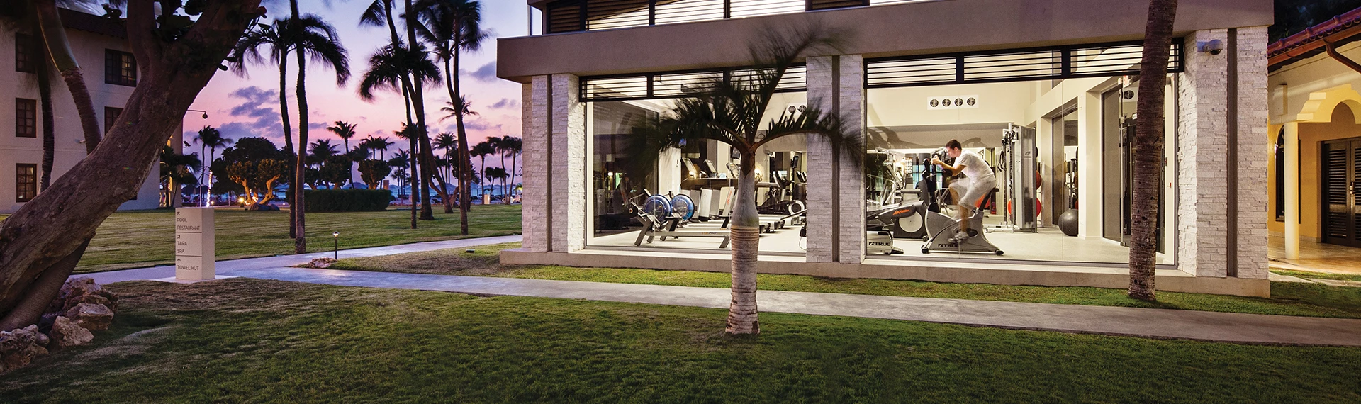 a palm tree outside a building