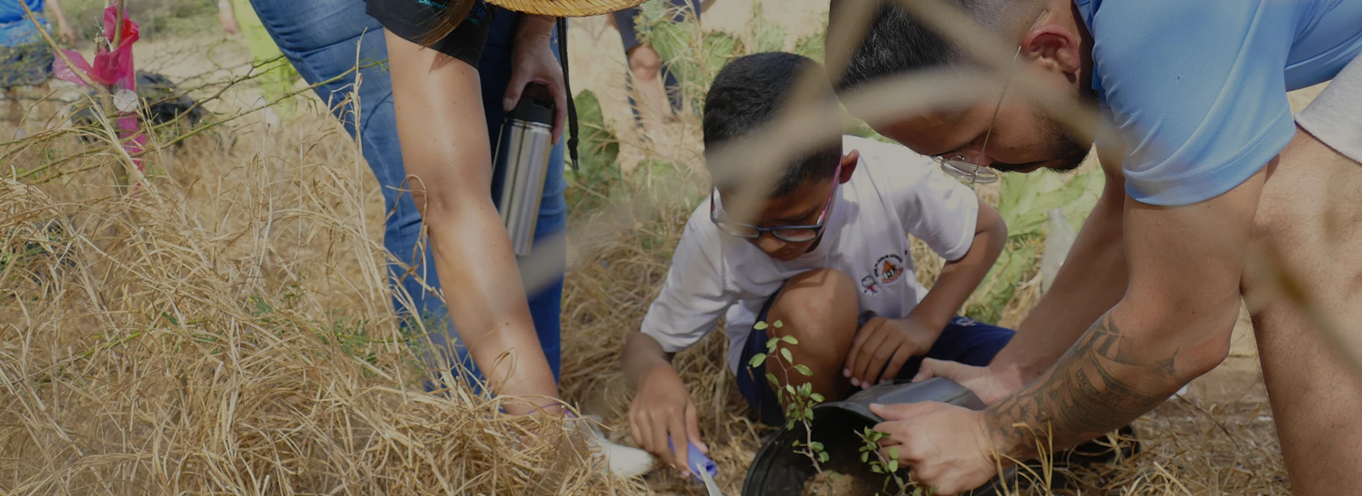 a group of people looking at a bird