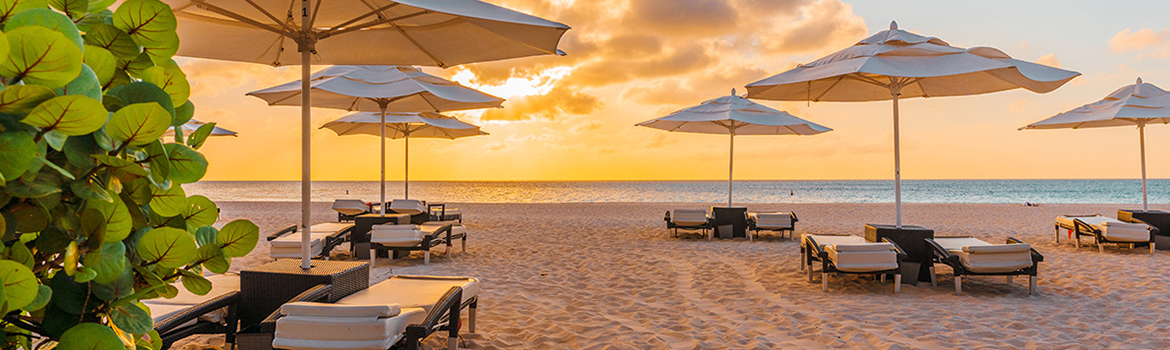 a beach with chairs and umbrellas