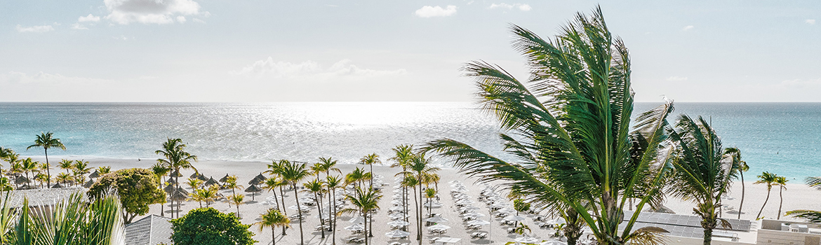 a beach with palm trees and umbrellas