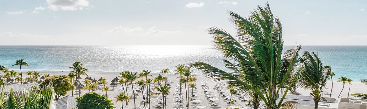 a beach with palm trees and umbrellas