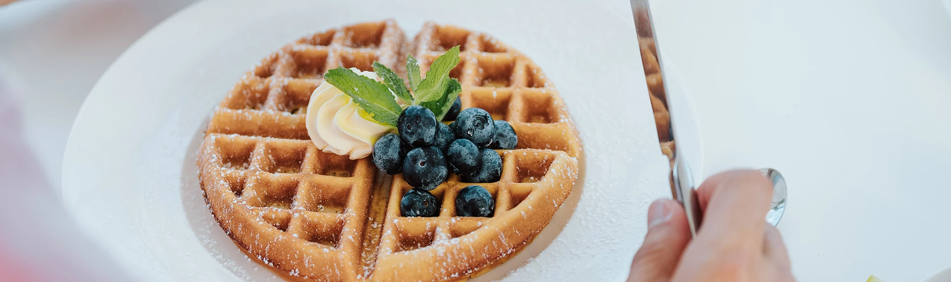 a waffle with blueberries and whipped cream
