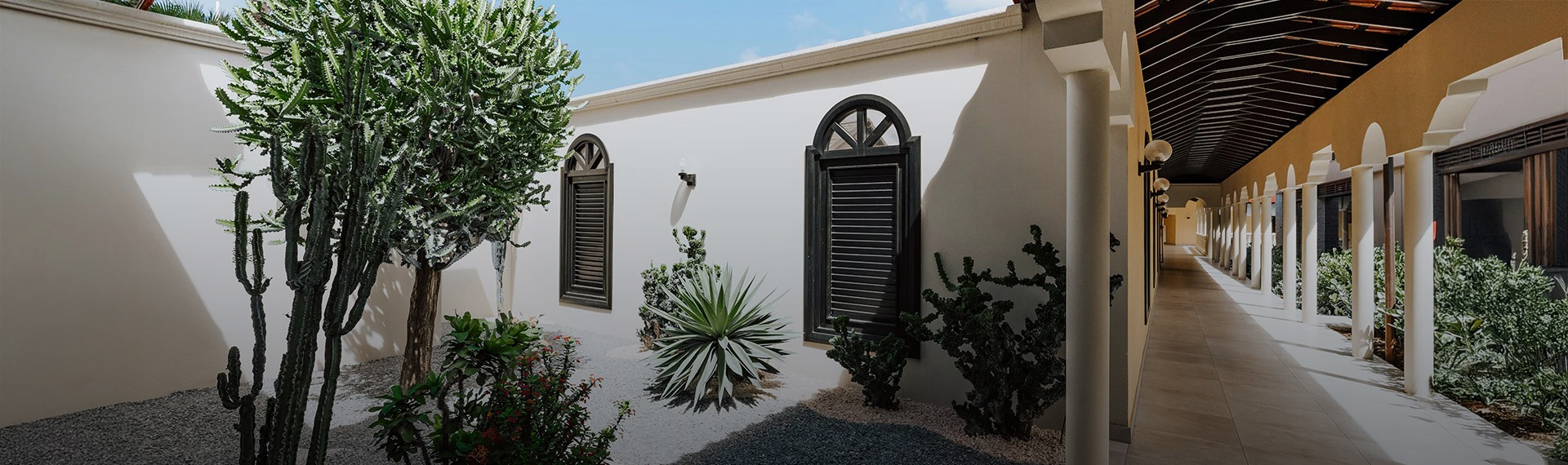 a white building with black shutters and plants