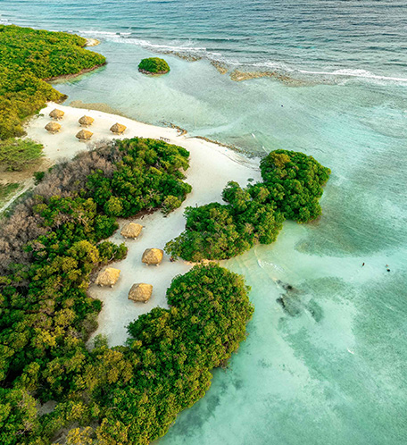 a beach with huts and trees