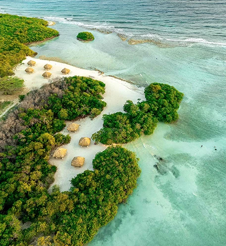 a beach with huts and trees