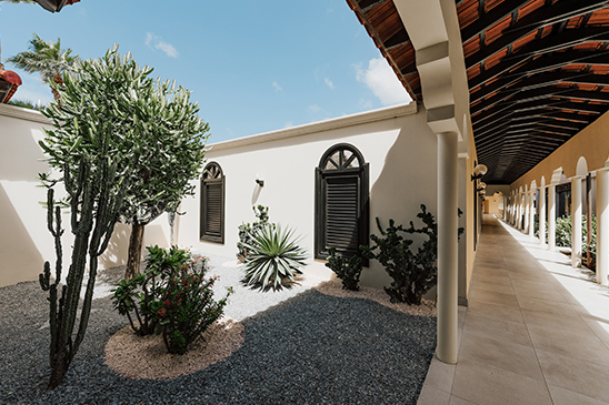 a white building with a black door and plants