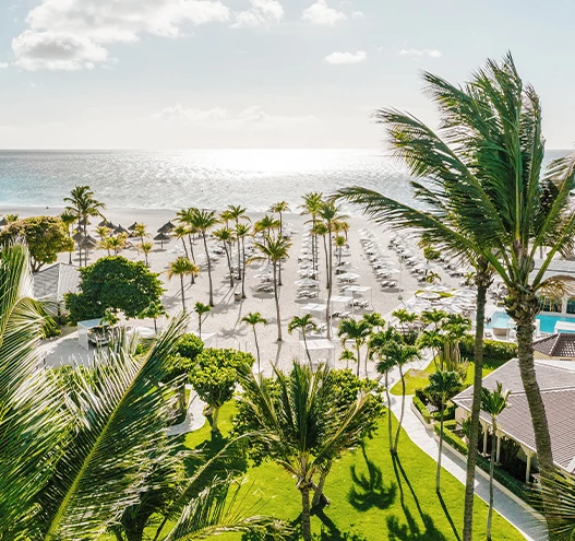 a beach with palm trees and a pool