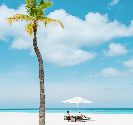 a palm tree and a couple of people on a beach