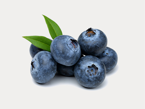 a group of blueberries with leaves