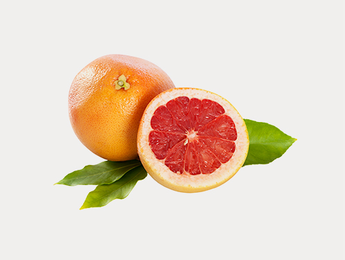 a grapefruit and a half of a grapefruit