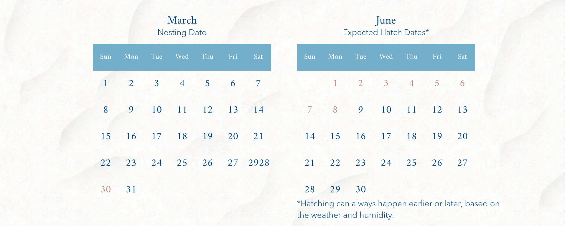 a calendar with blue squares and numbers