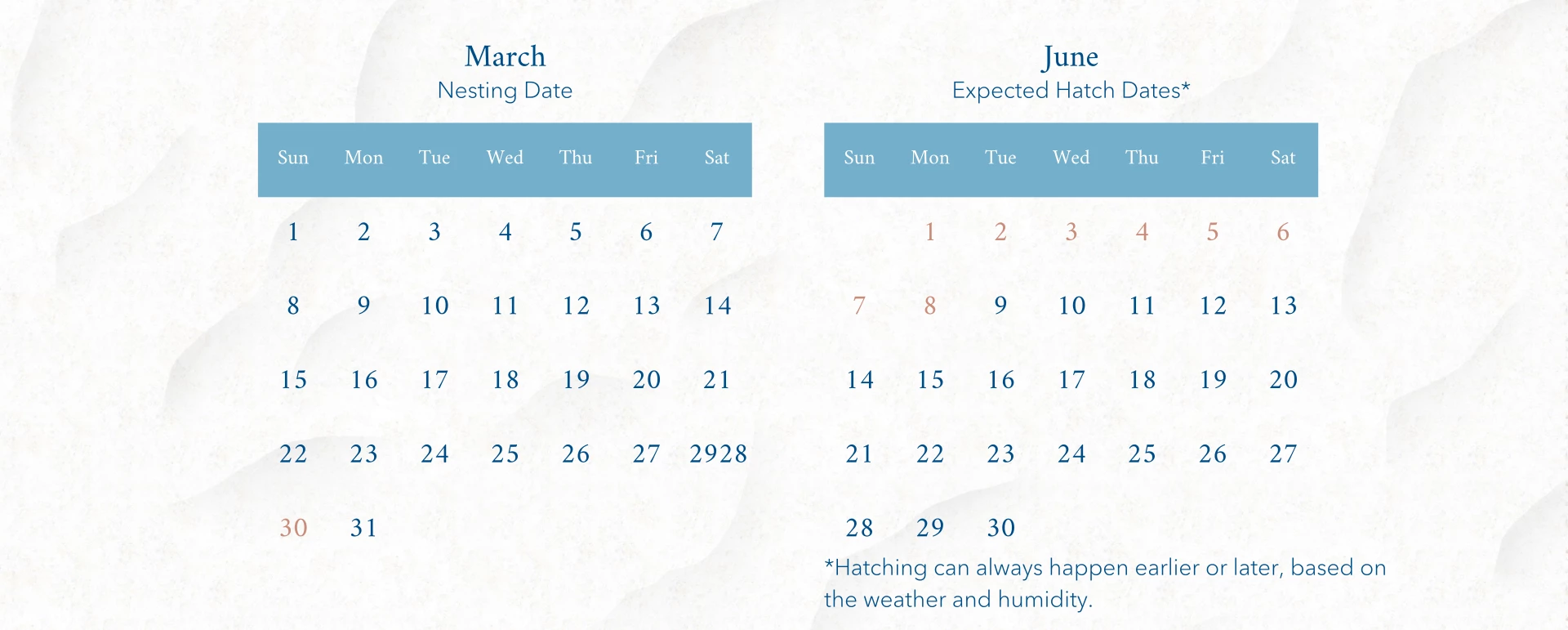 a calendar with blue squares and numbers