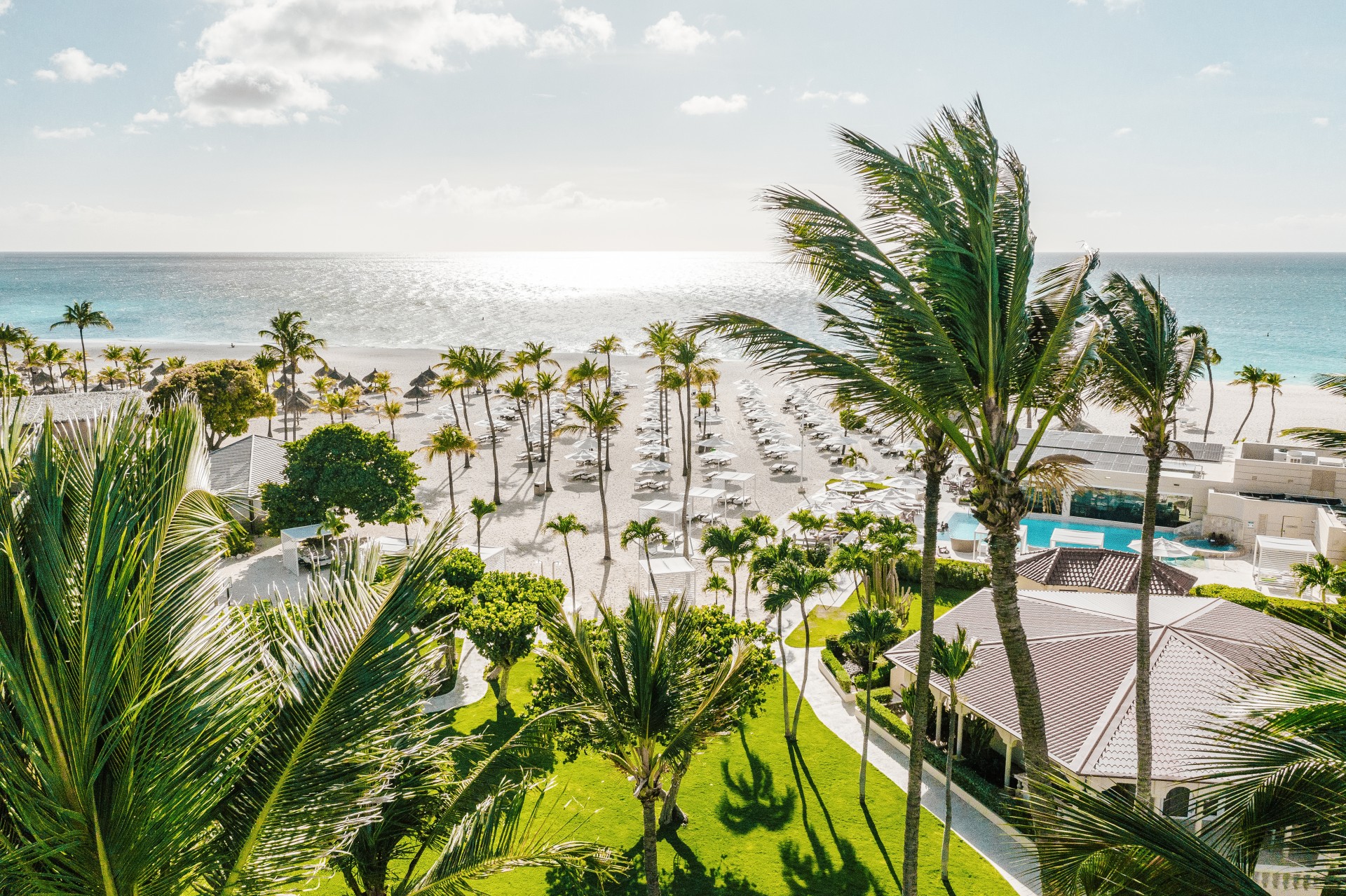 a beach with palm trees and a pool