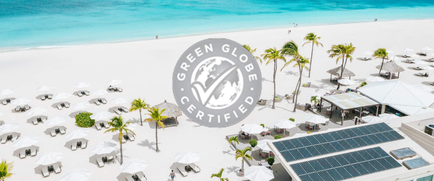 a beach with palm trees and umbrellas