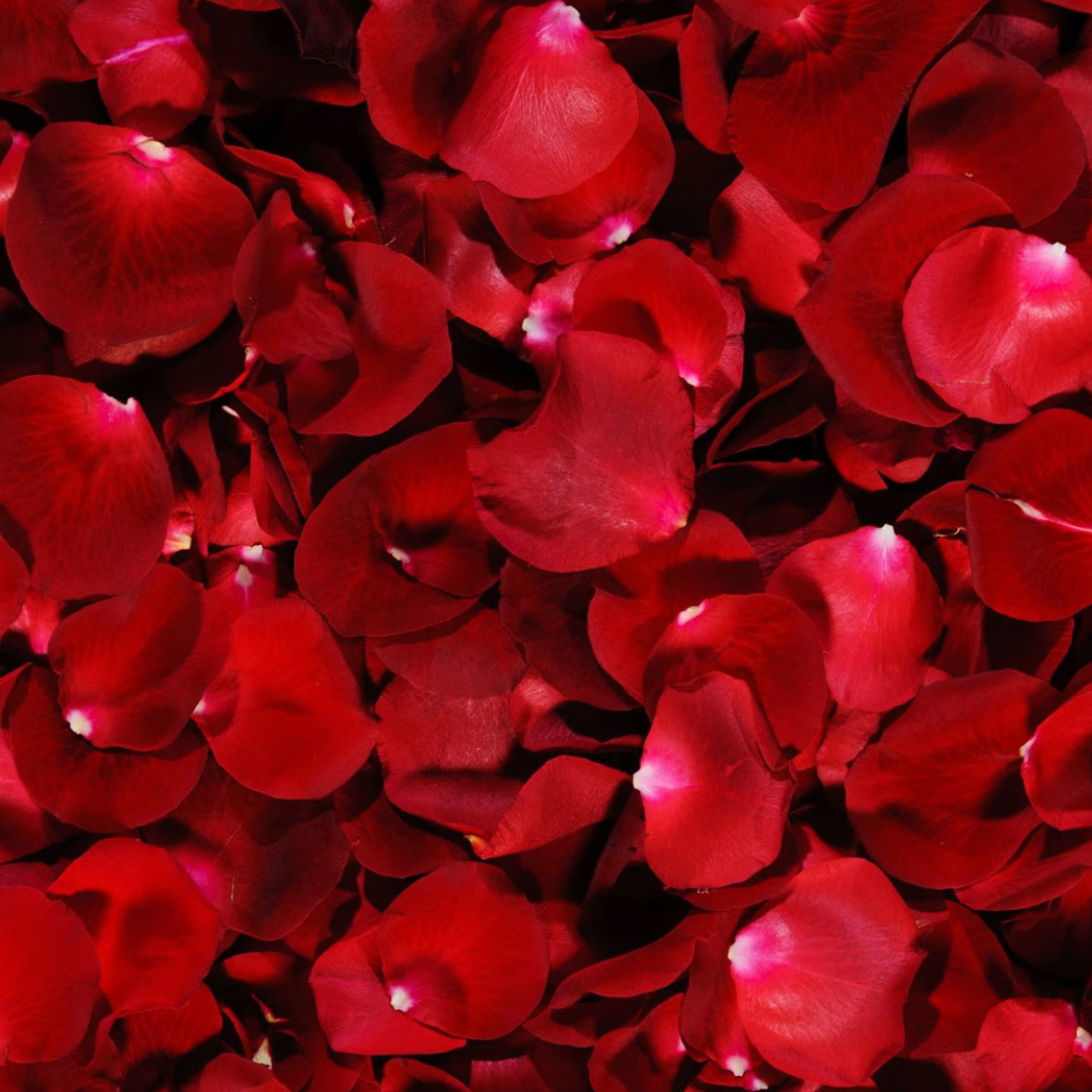 a pile of red rose petals
