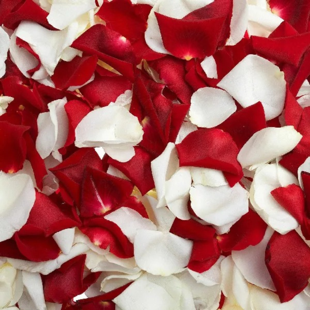 a pile of red and white petals